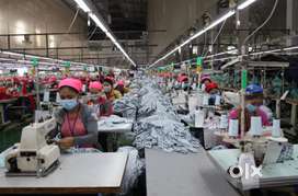 Being young textile. Pvt.ltd