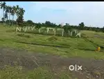 29 Lakhs, 200 sq, Bhogapuram, Approval Highway facing Layout