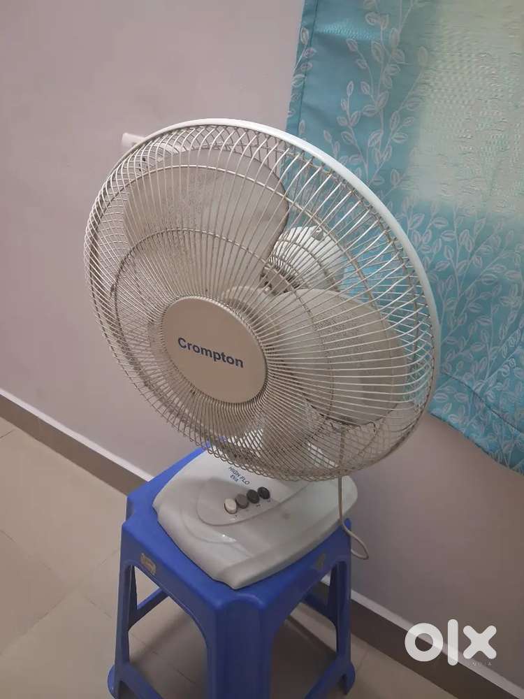 Table fan and pedestal fan
