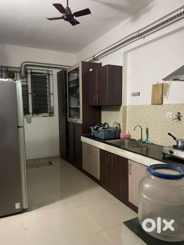 Looking of a female flatmate