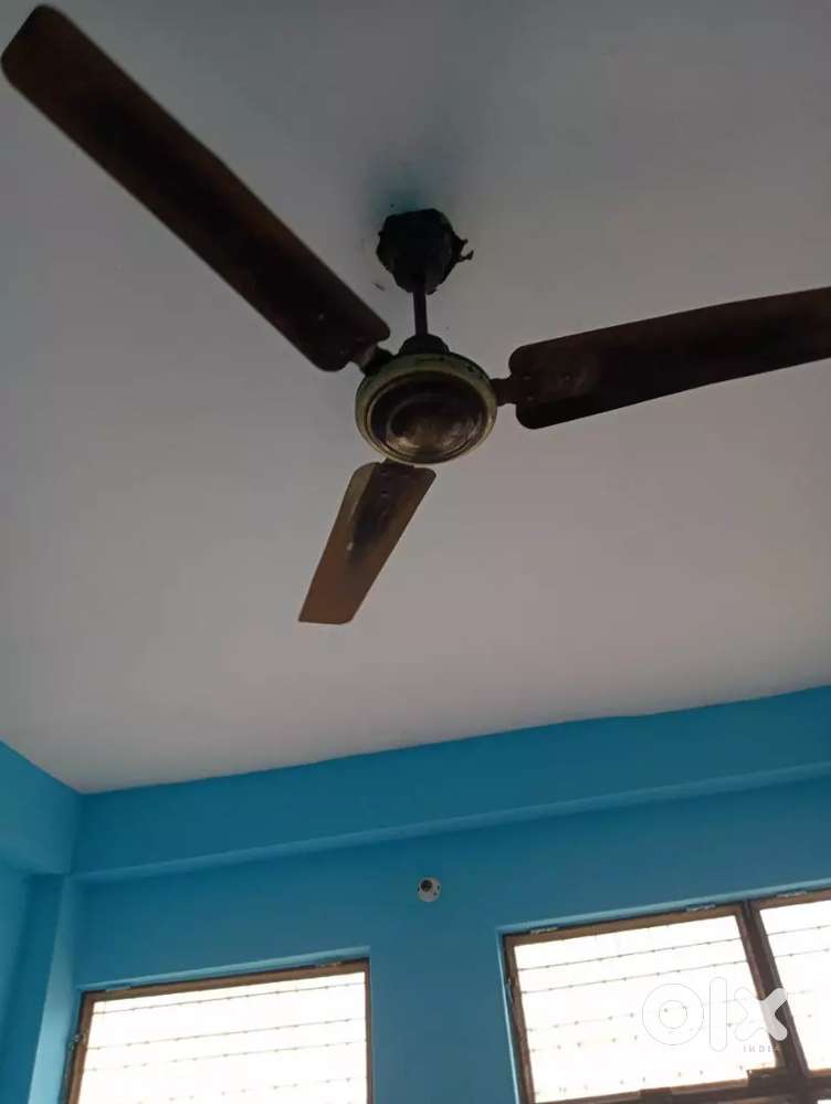 2 ROOM+ KITCHEN+BATHROOM+BALCONY ( SEPARATE)