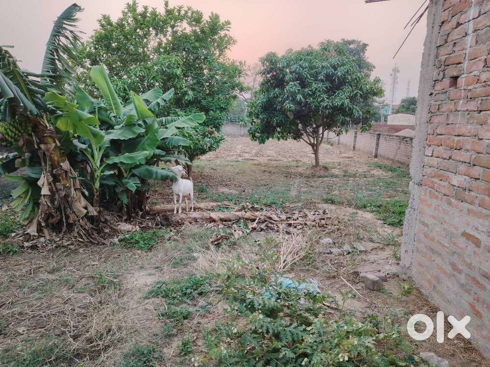 यह ज़मीन कयामनगर , आरा भोजपुर में स्थित है, जहाँ आस-पास अस्पताल, बैंक,