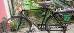Cycle for sale in good condition of 1 years