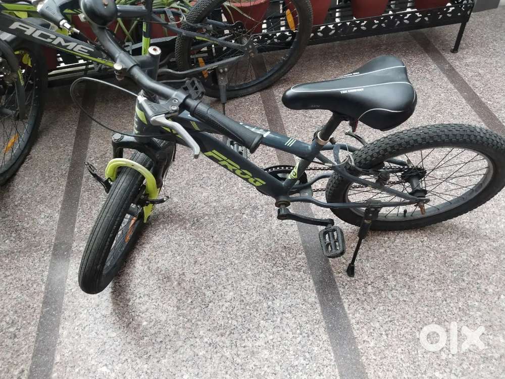 Frog bicycle