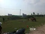 Near Annai Mira College