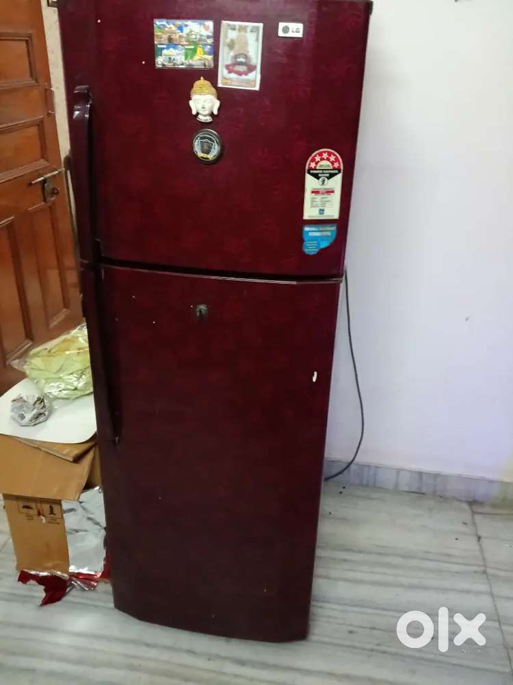 LG 260 Litre double door fridge