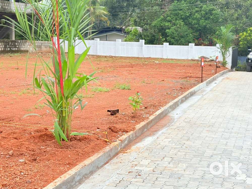 6 CENTS AT PUTHENKURISH