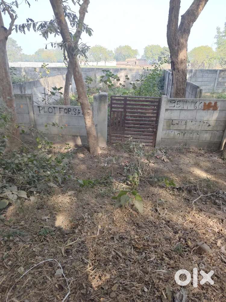 Investment Purpose,Small Commercial Plot for Sale