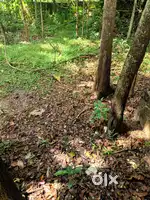 Commercial plot available in oramvila highway distance 300 mtr