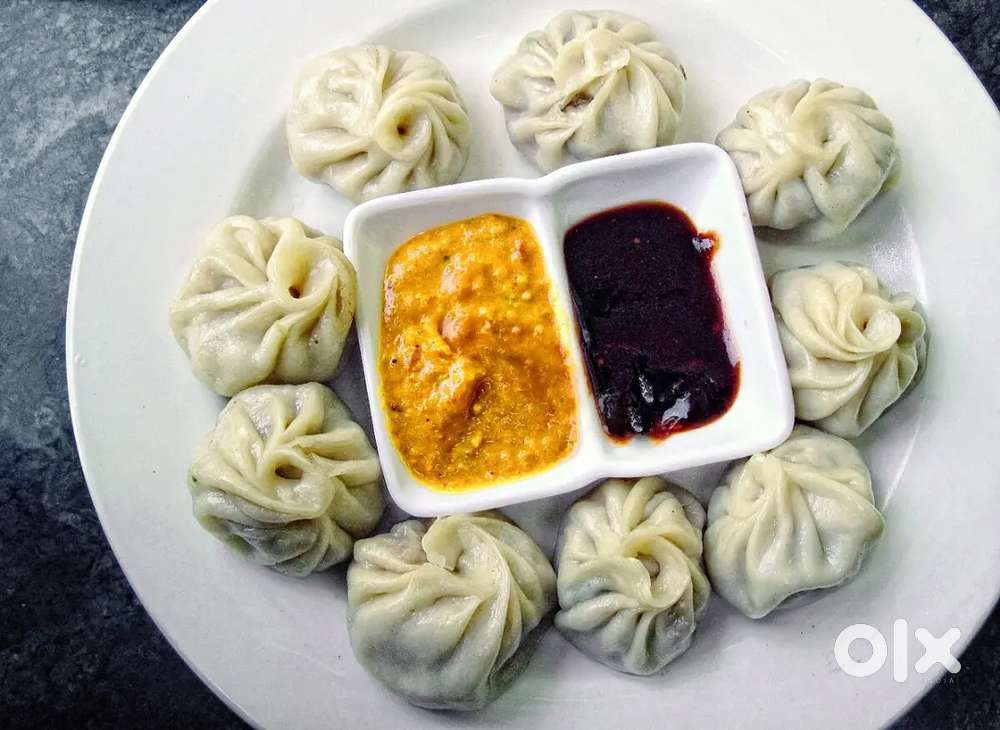 Wholesale momos veg paneer