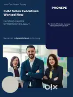 Phonepe sales executive