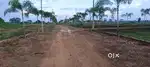Single owner pata plot available