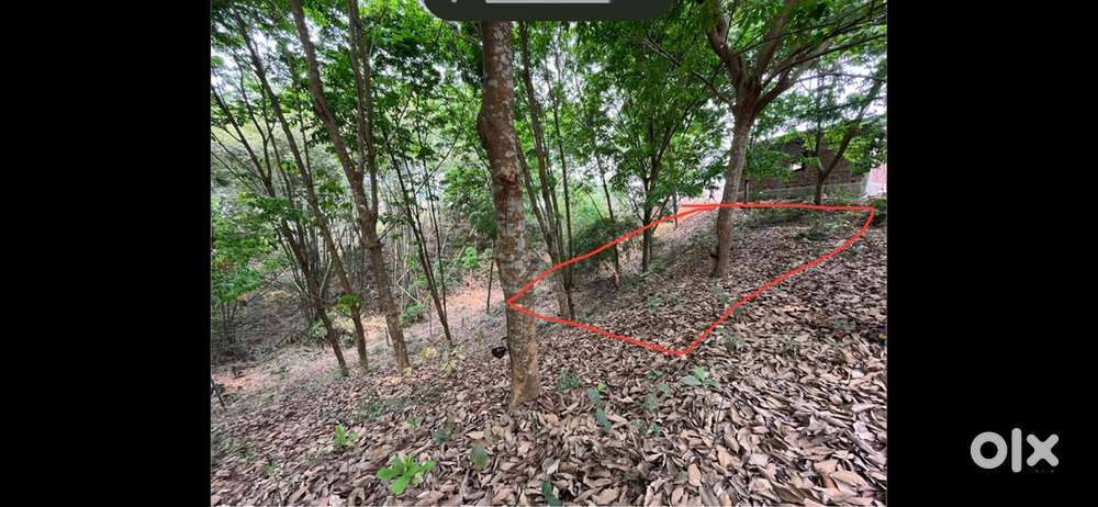 3 Gonda Plot available for sell in lembucheera