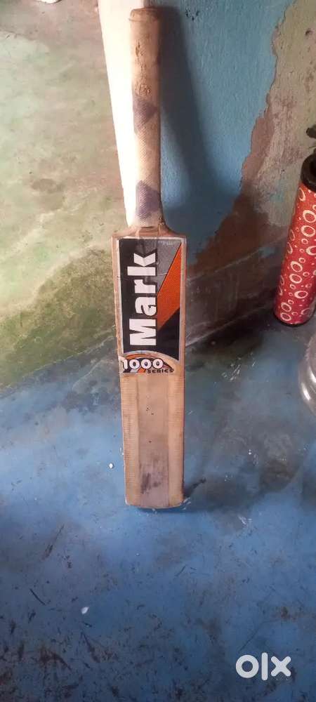 This is a normal cricket bat