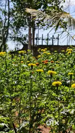 Commercial plot for sale