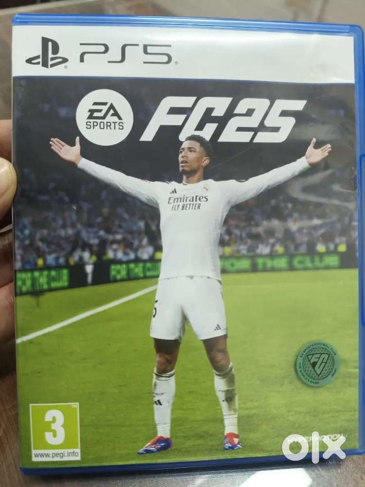 Fc 25 game