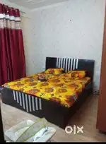 Owner Free Fully Furnished Full independent Brokerage 50%