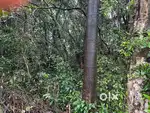2.5 Acre Land for Sale – Mudigere
