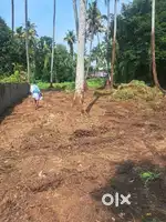 Prime land @ North Parur (North Paravoor)