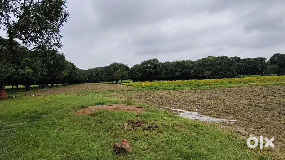 ऑफर सीमित है खेती और फार्म हाउस के लिए उपयुक्त जमीन हैं