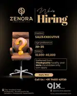 Sales Executive