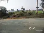 Mandi samiti Wale Road pr on Road plot 28000 Rupya Gaj