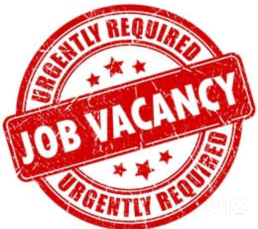 Urgent Required Personal Female Secretary