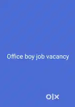 Office boy job