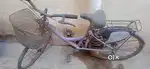 Ladybird cycle