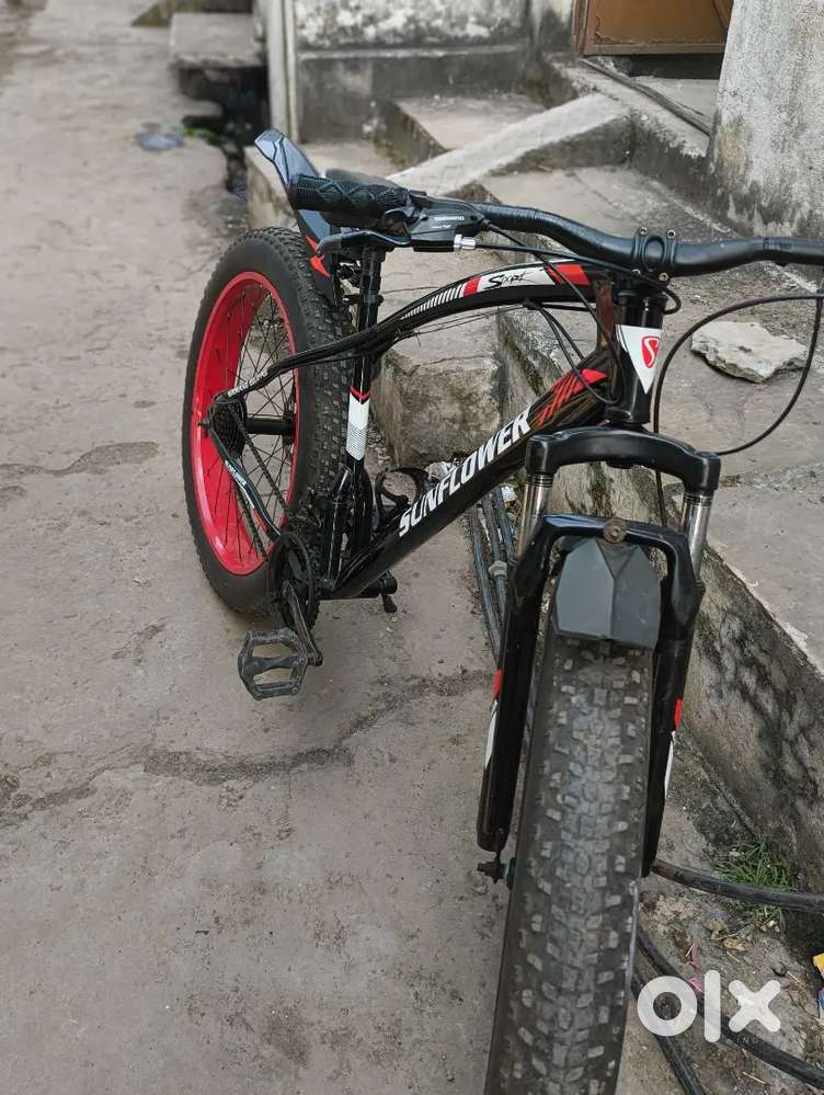 Dead bicycle