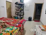 Need a roommate