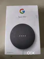 Google Nestt Mini 2nd generation