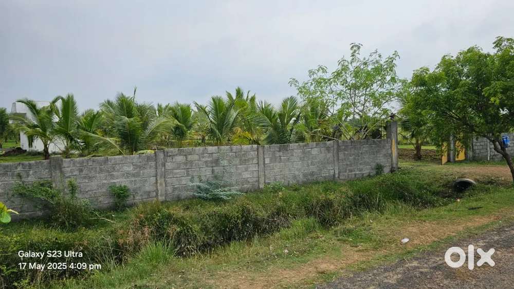 Land for sale Near kovalam dharga