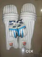 Cricket Pad and Batting Gloves