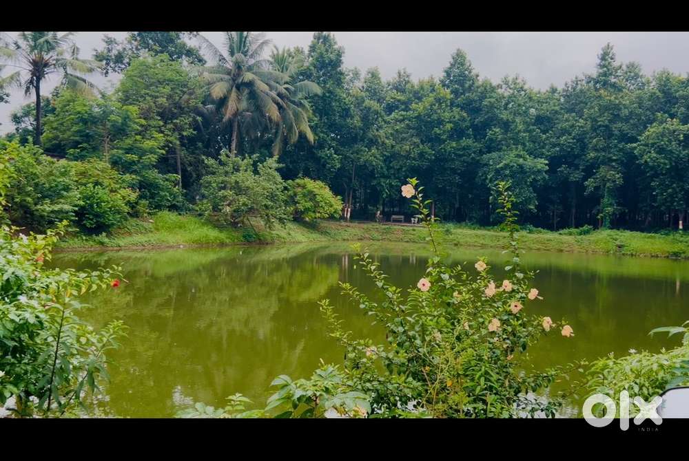 Plot for sale kochilanuanga   (cuttack)