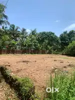 10 cents residential land for sale  100 meters from main road