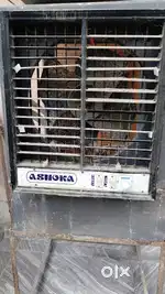 Ashoka cooler