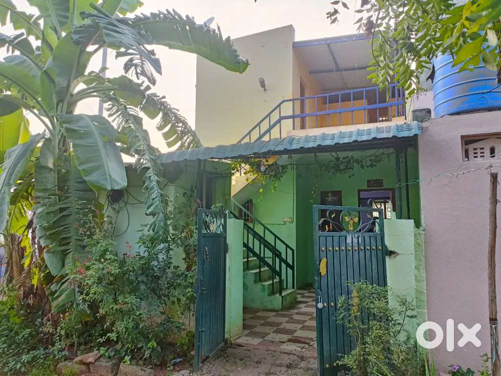 Individual house