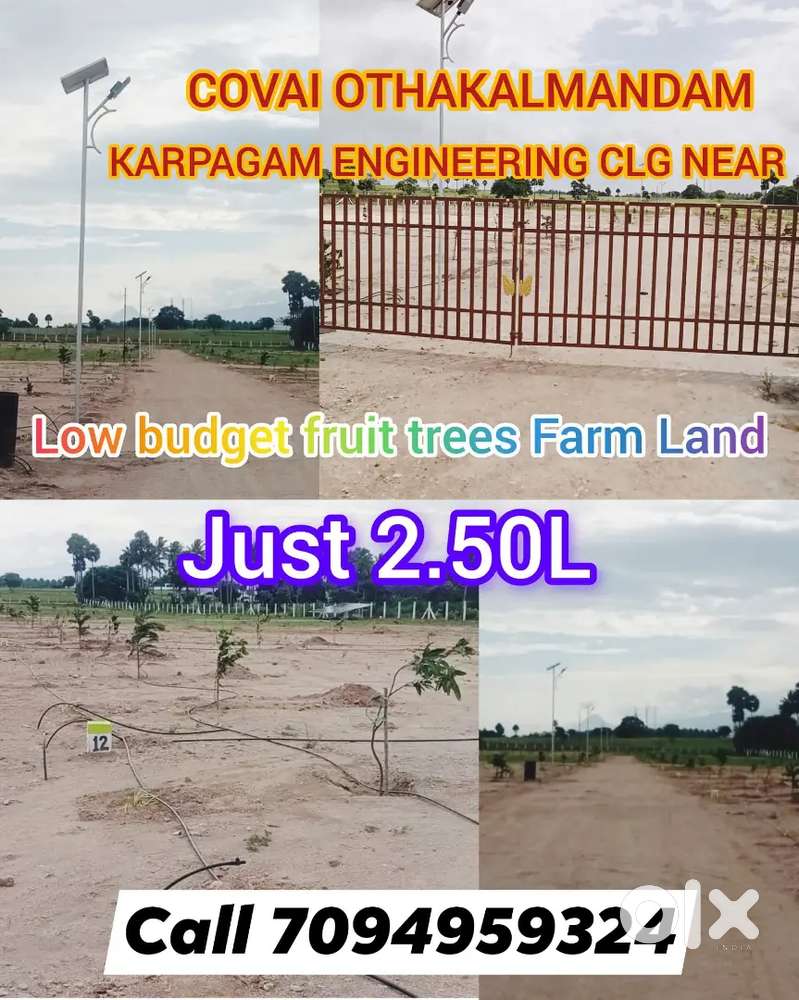 MARINE CLG BACK SIDE NEW PRIMIUM DTCP PROJECT