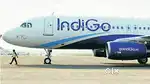 Cabin Crew/ Airport Ground Staff Jobs in Indigo limited vecancy Requi