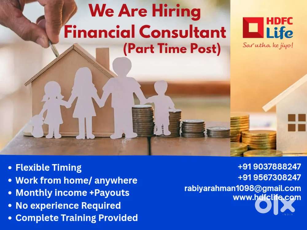 Financial Consultant