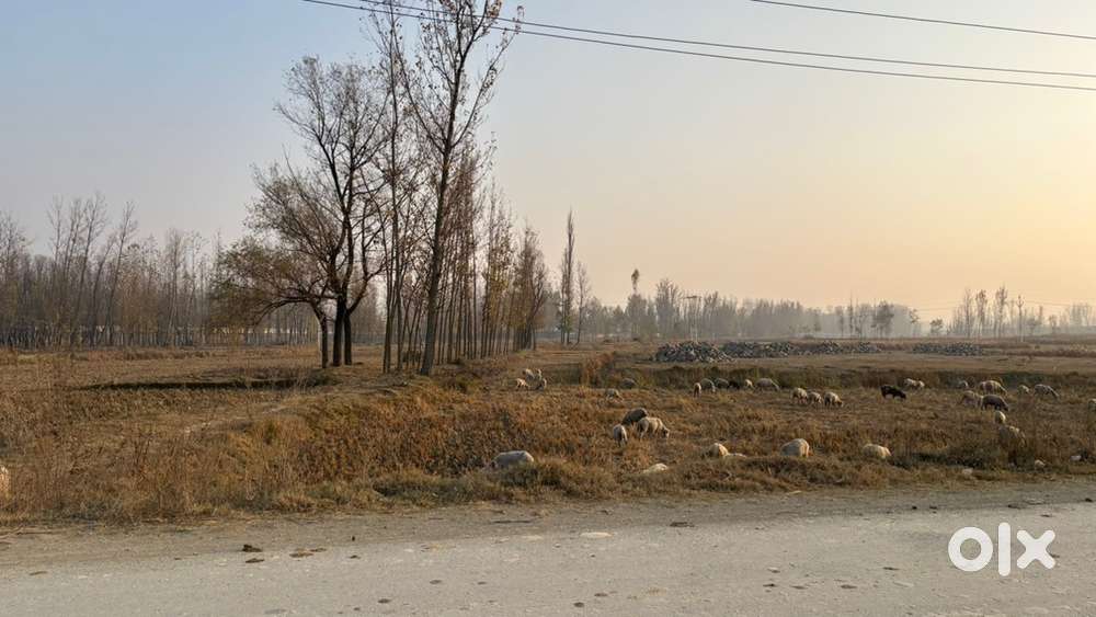 Prime land for sale near Lasjan Bypass