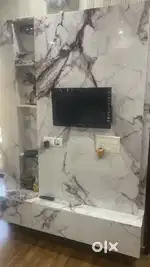 Television Panel