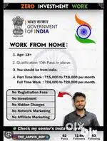 Zero investment work from home