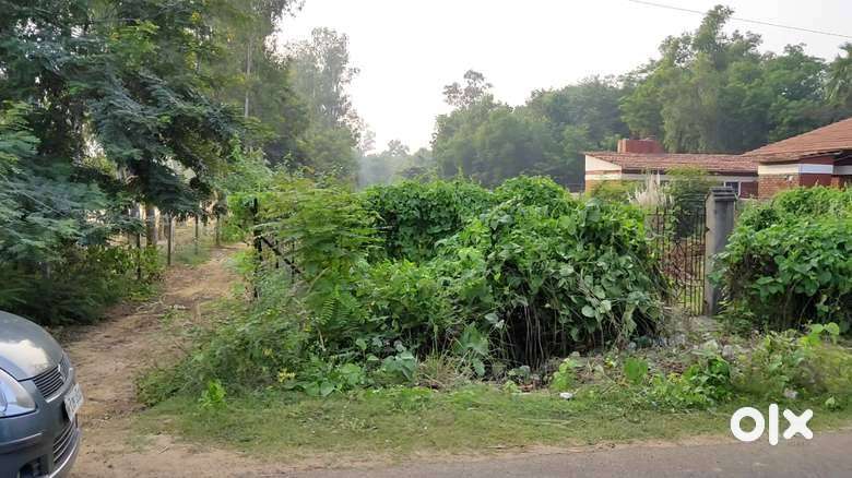 20 L  takay 10 katha Land at Daronda, Shantiniketan