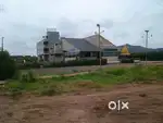 agriculture land for sale