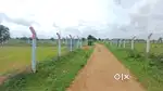 Clear Title,Boundary,Road Access,1 acre Agriculture land for sale