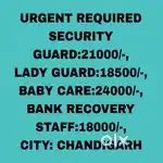 All Security Jobs Chandigarh 16