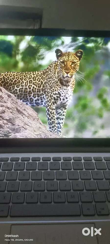 Rizen 3 ,7000 series 8 gb 256 ssd