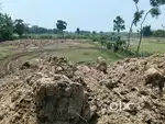 Land for sail NILAGIRI  PANCHALINGASWER ROAD